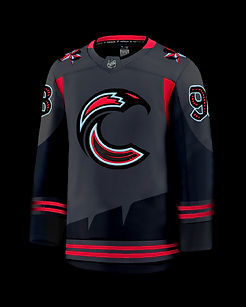 Chicago Blackhawks_Rebrand_Social-19.jpg
