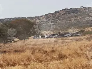 Aseguran armas y vehículos durante operativo en Juventino Rosas