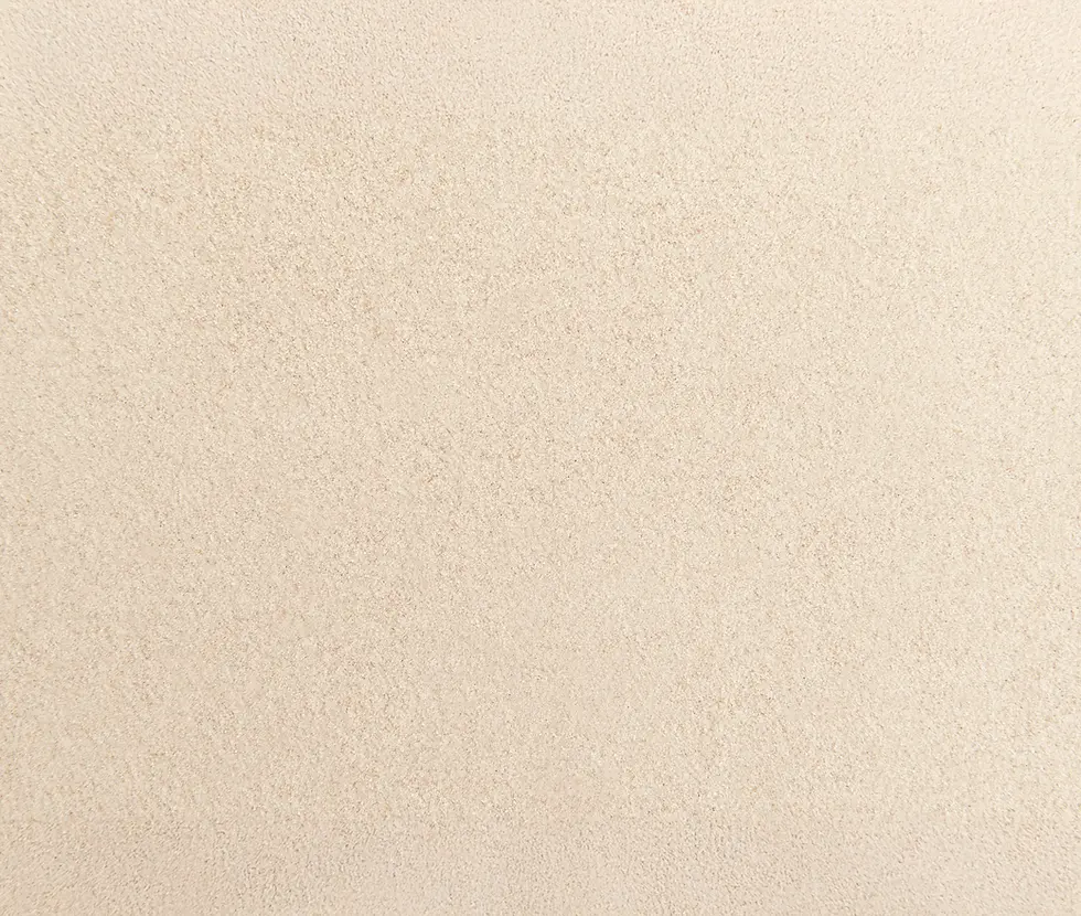 fondo largo.webp