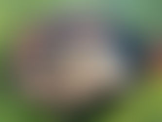 2023년 5월 19일 반석교회 야유회