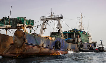IUU BoardingShenHai.jpg