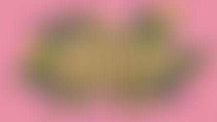 Plastic Free Peckham talks recycling, PPE, the climate... and how best to take action!