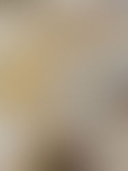 Лирическо отклонение