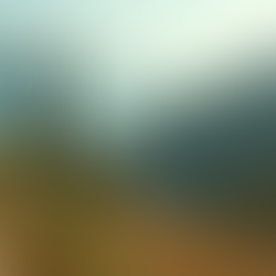 Philosophia Botanica: The Fusion of Botanical Wisdom, Adaptogenic Herbs, and Regenerative Beauty