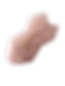 BOTANIA ROSE