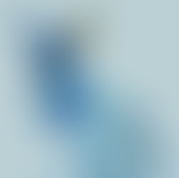 Lunar New Year: Year Of The Water Rabbit