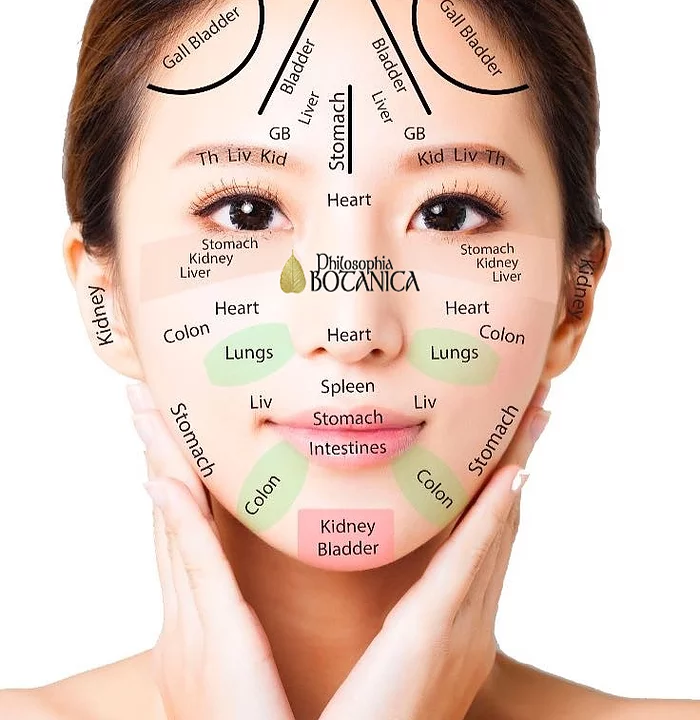 PRO Face Gua Sha Training Holistic Beauty Course London