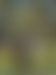 Celebrating World Digital Detox Day 2025