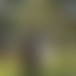 Celebrating World Digital Detox Day 2025