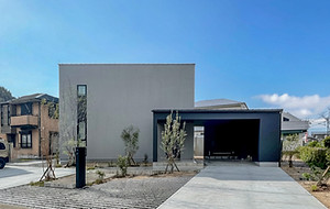 S__29032489_0_edited.jpg