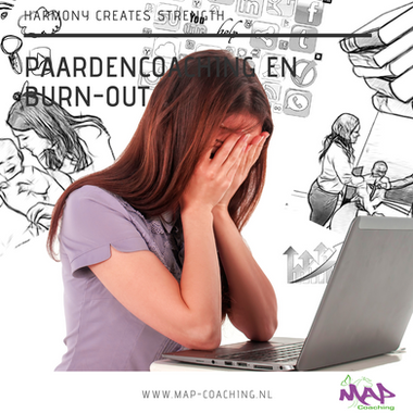 Mankind coach MAP coaching en counseling in Bunde met inzet van paarden voor mensen.