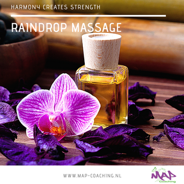 Mankind coach MAP coaching en counseling in Bunde met inzet van paarden voor mensen.