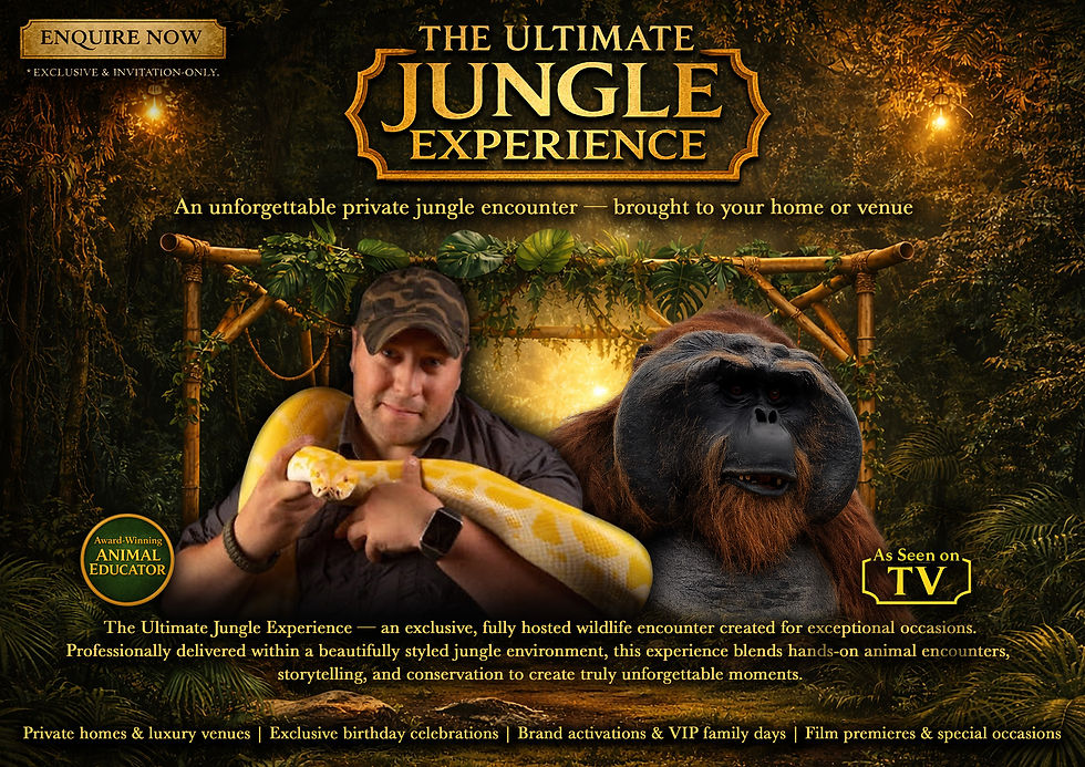The ultimate Jungle Experience website banner.jpg