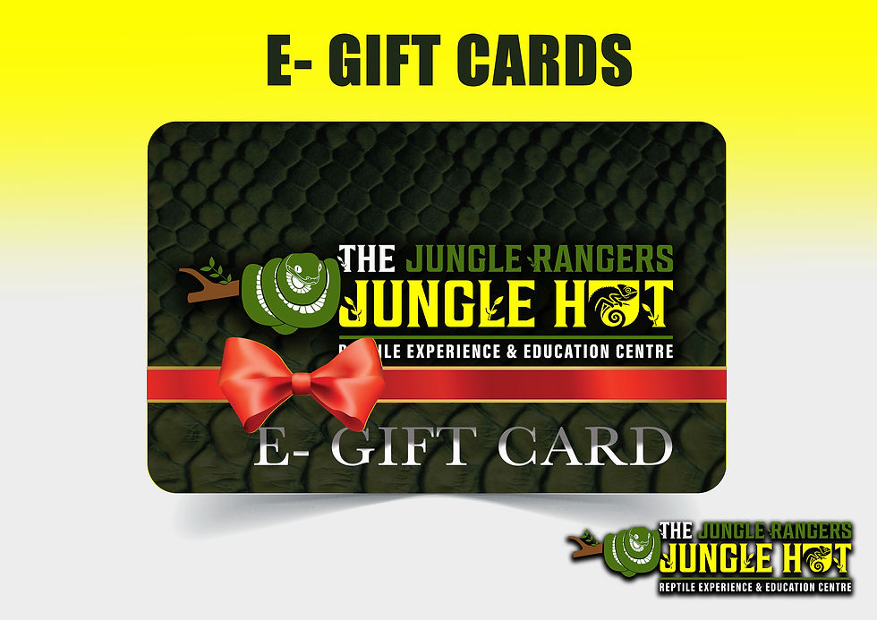 gift card website add.jpg