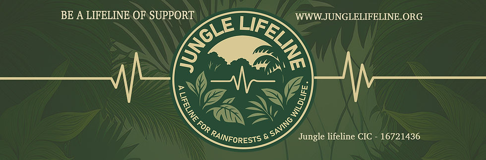 facebook cover pic JUNGLE LIFELINE_.jpg