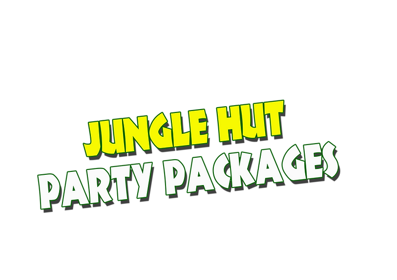 PARTY PACK.png