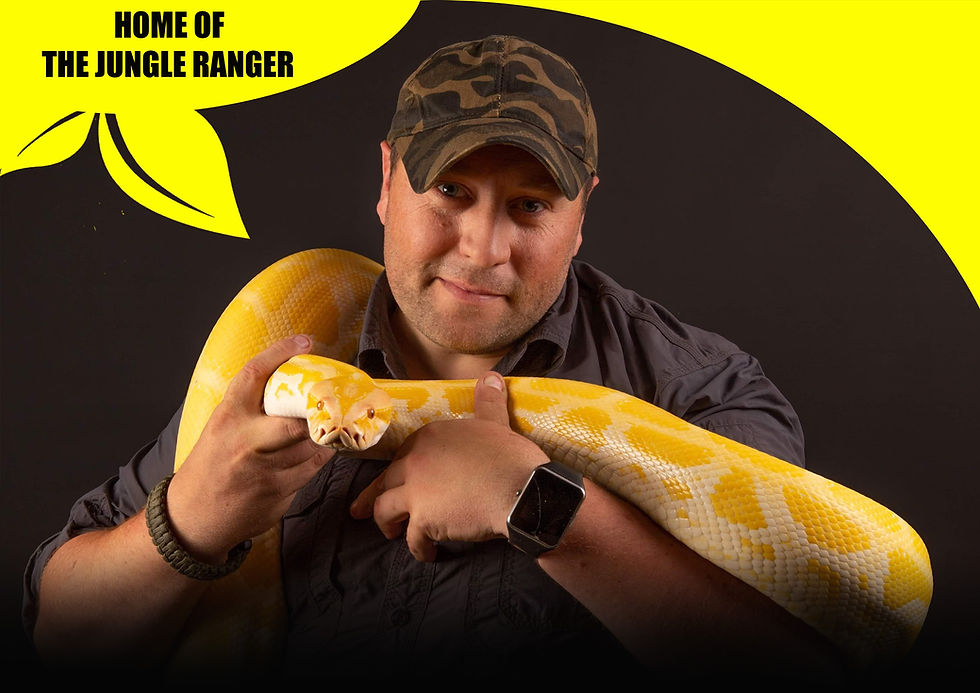 WEB SITE HOME PAGE.jpg
