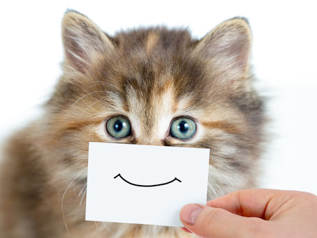 Souriez à la terre car actuellement nous la réparons!!!