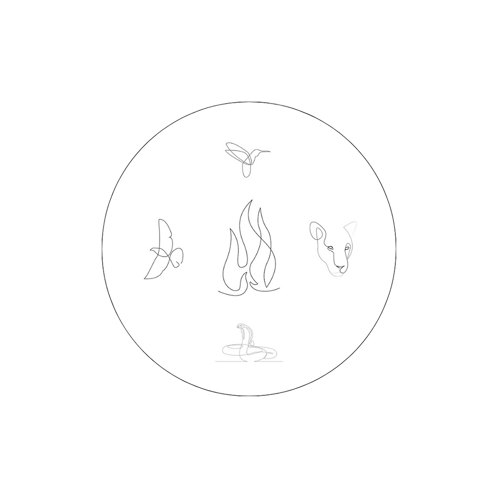 Shamanic Fire Circle  