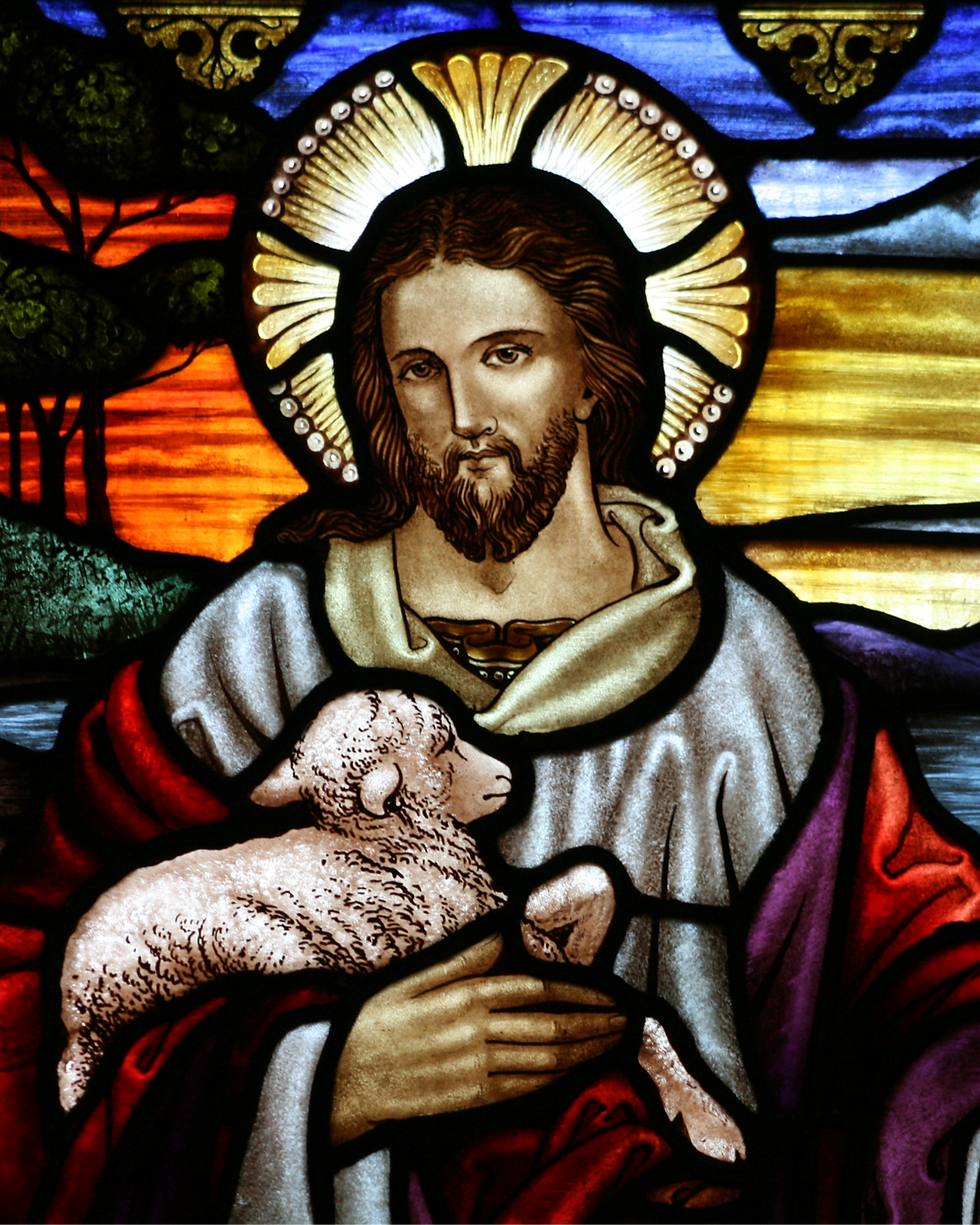 Parish of St. Timothy Bulletin for April 26, 2026