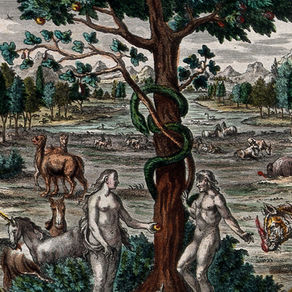 Parish of St. Timothy Bulletin for February 22, 2026