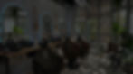 Screenshot 2025-12-30 at 8_edited.jpg