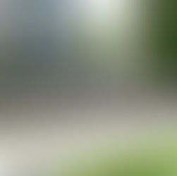 Leipziger Erinnerungskultur im Ariowitsch-Haus zu Gast