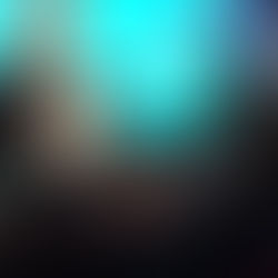 Tacheles-Jahr in Sachsen - so schön war die Eröffnung