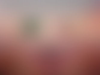 JOHNSON-BROCK TAKES DOWN MAYWOOD-HAYES CENTER IN THE SEMIFINALS