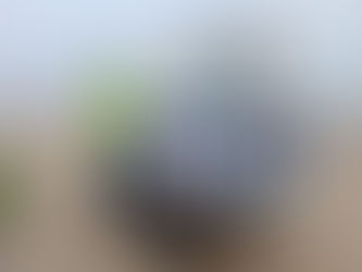 Empowering Waste Pickers in Tamil Nadu, India with GRIEG Foundation