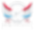 patriot_patriot-01.png