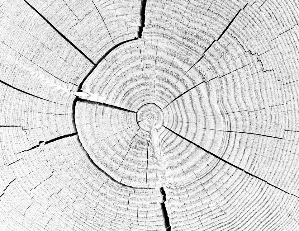 Holz 6.jpg