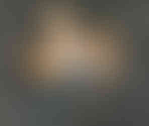 Texas shaped catchall tray with keys glasses and spare change