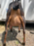 missy 2