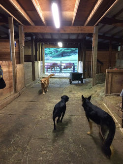 dezth614vn2c0csomf6f