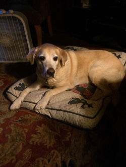 xaa6tz9ya5qu7nfzqpv0