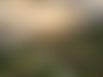 Hillside cabins with green roofs nestled in a forest, overlooking a winding river at sunrise. Misty mountains in the background create a serene scene.