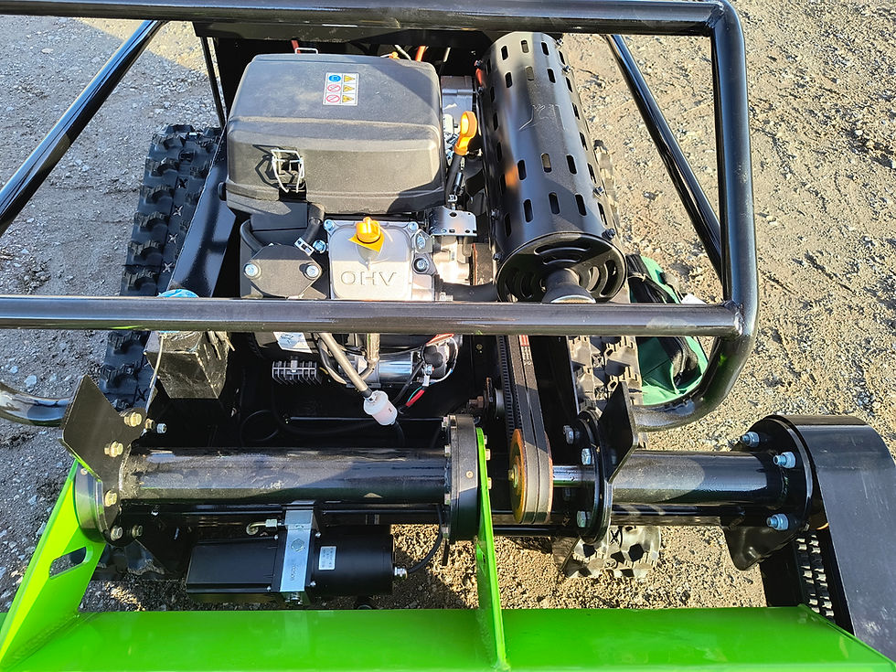 Miniature : TIGRE 1000F moteur