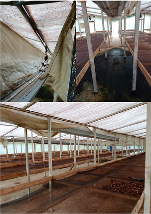 Screenshot 2025-09-30 alle 09.22.52.png