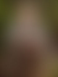 52 Tuesdays: Johnny Matten