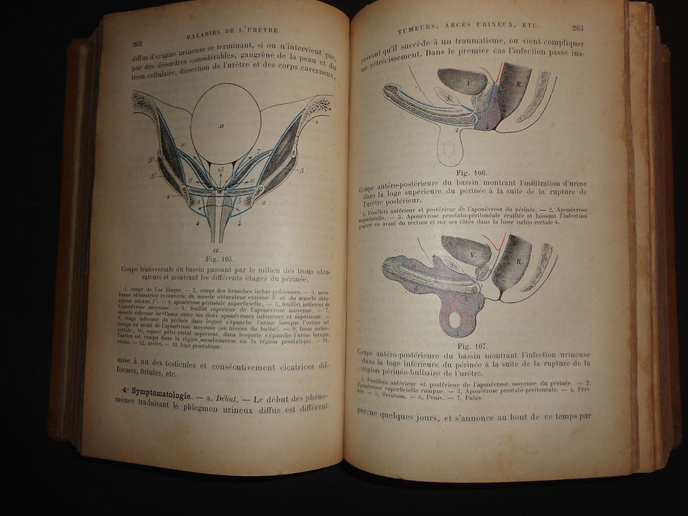 Miniature : précis d'urologie