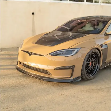 Model S wrapped in Pure PPF Gloss Macchiato colored PPF