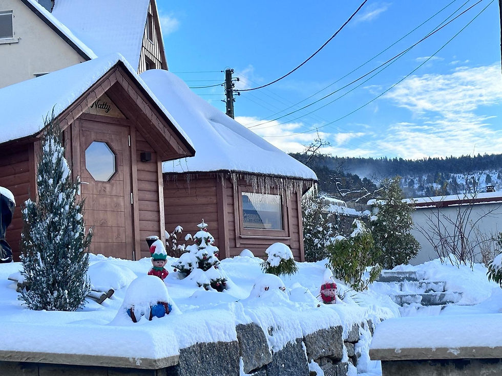 kota-finlandais-location-chalet-gite-noel-soultzeren-alsace-17