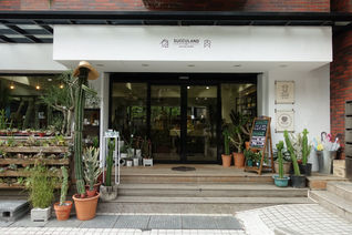 私房好店:有肉 Succulent & Gift