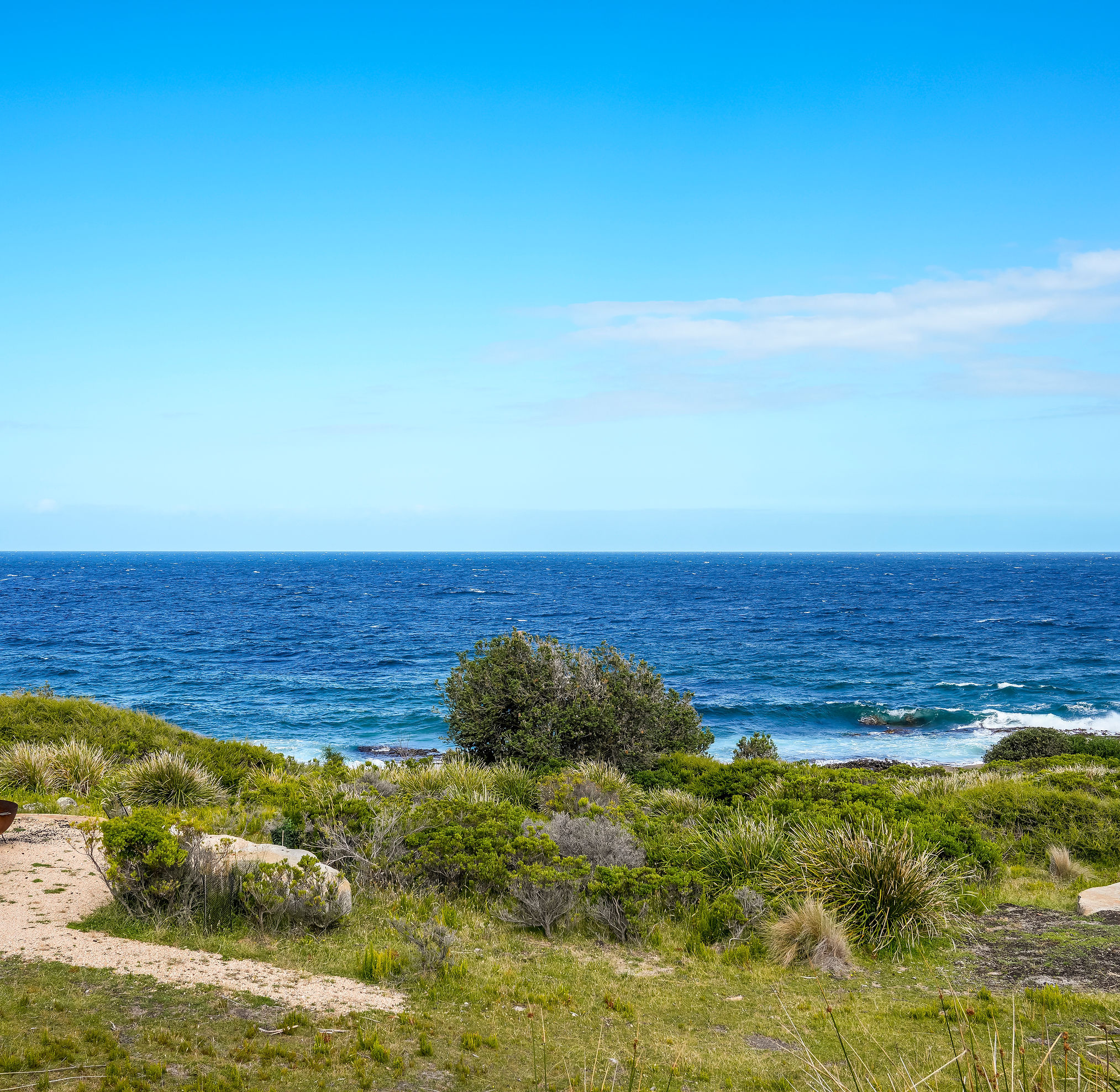 RockPool230125-114.jpg