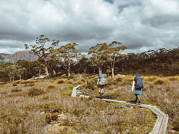 Overland+Track+-+Tayla+Gentle.jpg