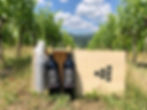 Thumbnail: 🇬🇧 PRIMÆ IGT Toscana. 1 (one) bordolese bottle. 0.75L