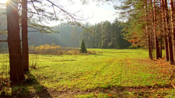 Attekas plava
