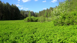 DSC03084.JPG