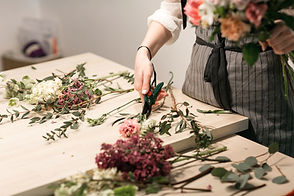 iStock-905735808.jpg